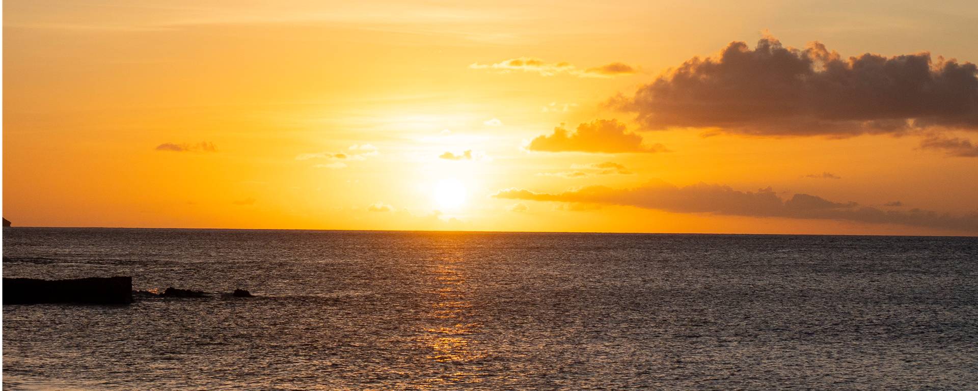 Onepiece Holiday Gift Shop