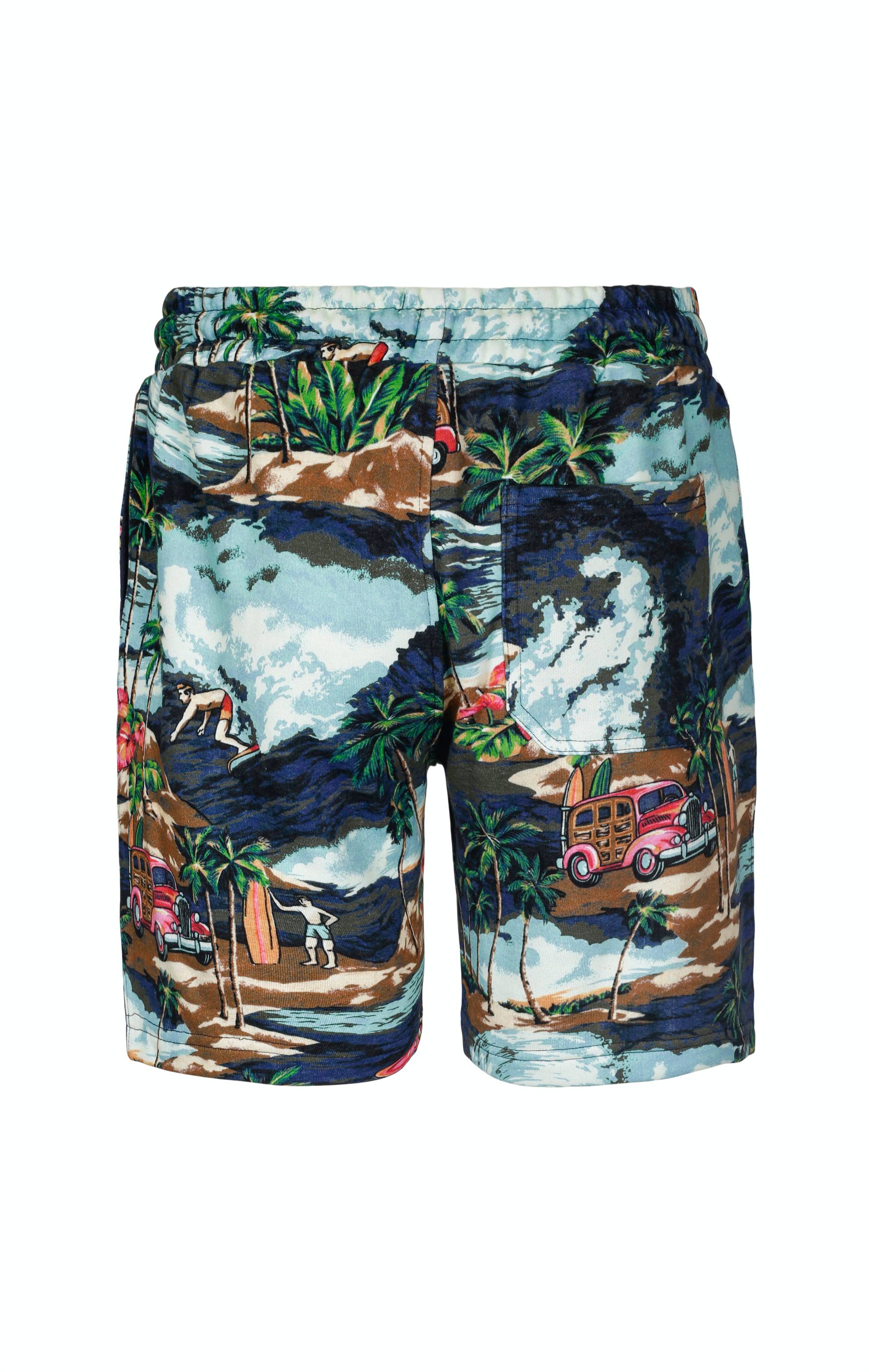 The Vintage Hawaii Shorts Blue Mix